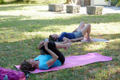 Viniyoga_seance_10