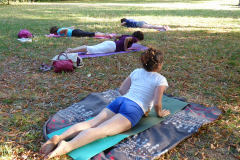 Viniyoga_seance_13
